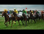 Photo HIPPODROME DE SAINT MALO