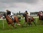 Photo HIPPODROME DE SAINT MALO