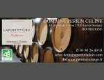 DOMAINE PERRIN CÉLINE 21550