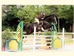 PONEY CLUB DES GALOPINS Coulombiers
