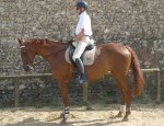 LA HOUSSINE ET ASSOCIATION CHEVAL VIE 28170