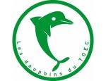 DAUPHINS DU TOEC 31000