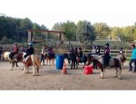 Photo PONEY CLUB DESPORTIS