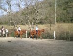 CLUB EQUESTRE DE DOURGNE 81110