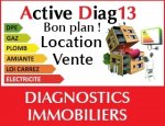 ACTIVE DIAG13 13012