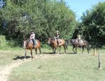 Photo FERME EQUESTRE A SHIBAU