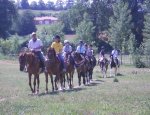 Photo FERME EQUESTRE A SHIBAU