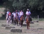 FERME EQUESTRE A SHIBAU Saumont