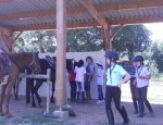 Photo FERME EQUESTRE A SHIBAU