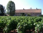 Photo DOMAINE CHEVROT ET FILS