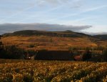 DOMAINE CHEVROT ET FILS Cheilly-lès-Maranges