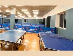 LE MONDE DU PINGPONG 13010
