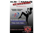 ALM KARATE KYOKUSHIN 76290