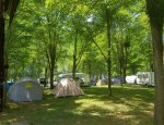 CAMPING L AMITIE 81340