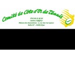 Photo COMITE DE COTE D'OR DE TENNIS