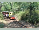 P'TIT TRAIN DE SAINT TROJAN Saint-Trojan-les-Bains