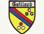 Photo BILLARD CLUB GAILLARD
