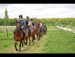 Photo CENTRE EQUESTRE DU PLESSIS BOUCHARD
