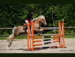 CENTRE EQUESTRE DE MAURECOURT 78780