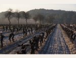 SAINT MARTIN LA GARRIGUE Montagnac