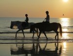 CENTRE EQUESTRE DE LA TORCHE Plomeur