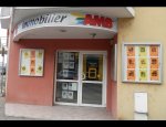 AMB IMMMOBILIER XXL 01000