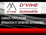 D'VINE AUTOMOBILE 85000