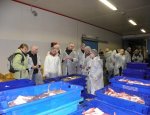 Photo SYNDICAT MIXTE DES CAPS ERQUY FRÉHEL