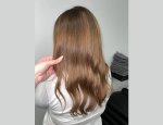 BUL'D'HAIR 54000