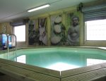 FRANCE PISCINES COMPOSITES 30000