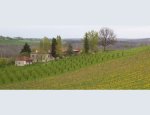 DOMAINE DE LAFAGE 82270