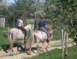 Photo CENTRE EQUESTRE DES ECURIES DE LA COUR DU
