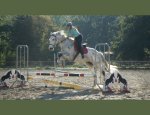 CENTRE EQUESTRE DES ECURIES DE LA COUR DU 61570