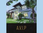A.V.I.P 62152