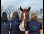 CENTRE EQUESTRE SAGIEN Sées