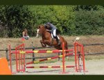ESPACE EQUESTRE DE CHANGE LES LAVAL 53810