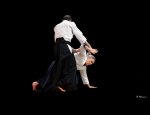 AIKIDO ARTS MARTIAUX COLMAR OFFICIEL 68000