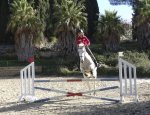 83190 Ollioules