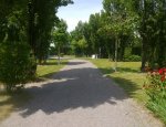 CAMPING LA MOUETTE CENDREE Saint-Vincent-sur-Jard