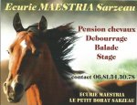 Photo EARL MAESTRIA EQUITATION