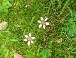 Photo LA BOITE A MELISSE