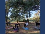 Photo FLOW NATHA YOGA