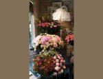 L'ATELIER FLORAL 14670