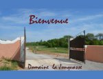 LES ECURIES LA JONQUASSE: PENSION ET CENTRE EQUESTRE Saint-Jean-de-Védas