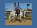 Photo LES ECURIES LA JONQUASSE: PENSION ET CENTRE EQUESTRE
