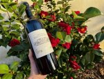 CHATEAU HAUT PEYRAT 33880