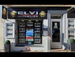 ELVI IMMOBILIER 83120