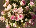 LES BOUQUETS D'ASTERS Paris 17