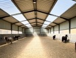 Photo CENTRE EQUESTRE MUNICIPAL