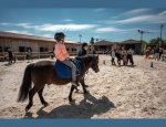 CENTRE EQUESTRE MUNICIPAL Neuilly-sur-Marne